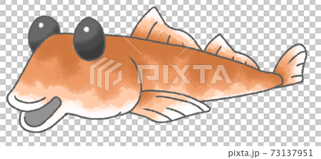 水彩風格的變形蝦虎魚 水彩風格的變形蝦虎魚 73137951