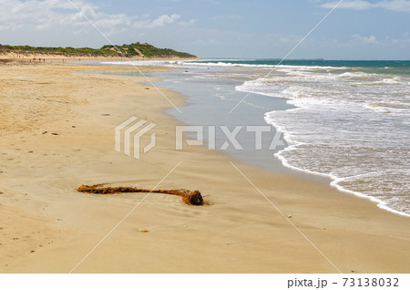 Whites Beach - Torquay 73138032