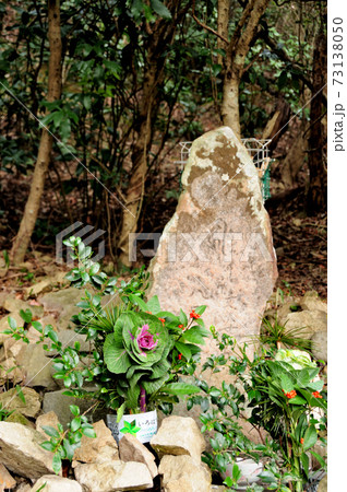 葛城二十八宿 さくら地蔵(第四番経塚) 葛城二十八宿 さくら地蔵(第四番経塚) 73138050