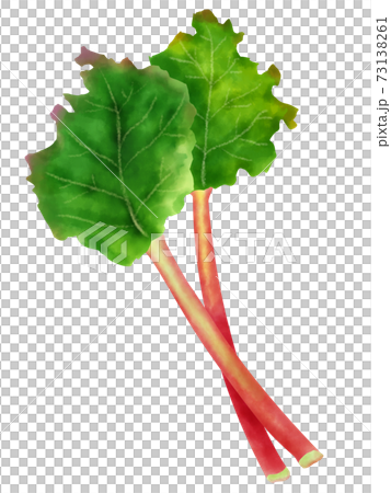 rhubarb vegetable multicolored paints rhubarb red yellow png download -  4096*4096 - Free Transparent Rhubarb png Download. - CleanPNG / KissPNG