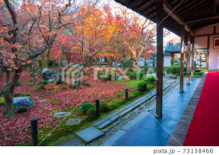 京都　晩秋の圓光寺　散紅葉　 73138466