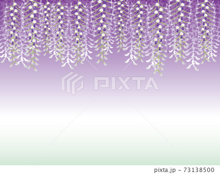 藤の花　背景 73138500