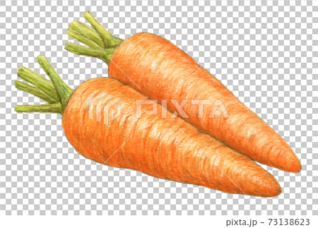 Realistic Carrots Stock Illustrations – 969 Realistic Carrots Stock  Illustrations, Vectors & Clipart - Dreamstime