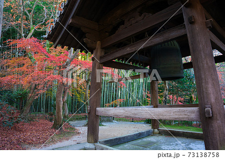 京都 圓光寺の鐘楼と竹林と紅葉 京都 圓光寺の鐘楼と竹林と紅葉 73138758