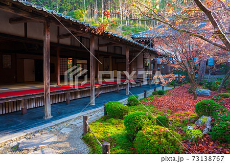 京都　晩秋の圓光寺　散紅葉 73138767