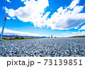 アスファルトから見上げた空 73139851