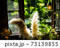 新緑のカフェの窓辺 73139855
