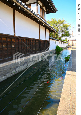 五個荘金堂町　弘誓寺　水路　東近江市 73141079