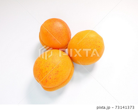 アンズ　杏　杏子　あんず　アプリコット 73141373