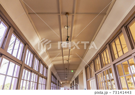 懐かしい　小学校校舎　窓　校舎　窓ガラス　天井 73141443