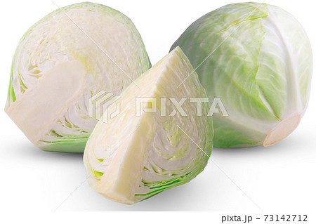 cabbage vegetable isolated on white background cabbage vegetable isolated on white background 73142712