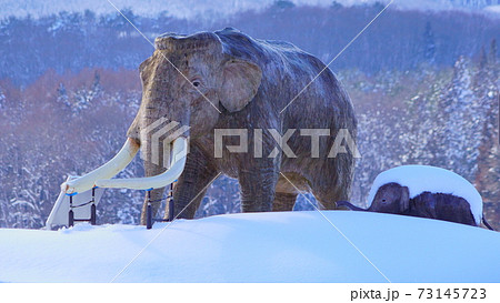 野尻湖ナウマンゾウ雪原を行く 73145723
