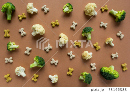 pattern of vegetarian dog snack and vegetables on the beige background 73146388