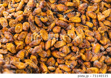 韓国の珍味ポンテギの写真素材 韓国の珍味ポンテギの写真素材