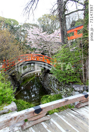 【京都】春の下鴨神社 御手洗川と輪橋 【京都】春の下鴨神社 御手洗川と輪橋 73147897