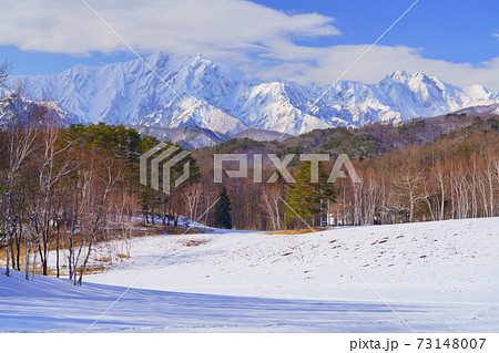 中山高原冬景色北アルプス鹿島槍ヶ岳五竜岳を望む 中山高原冬景色北アルプス鹿島槍ヶ岳五竜岳を望む 73148007