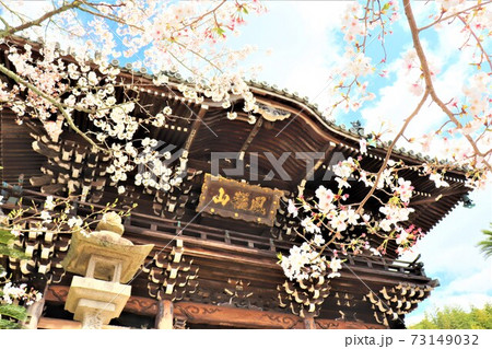 粉河寺　春の風景 73149032
