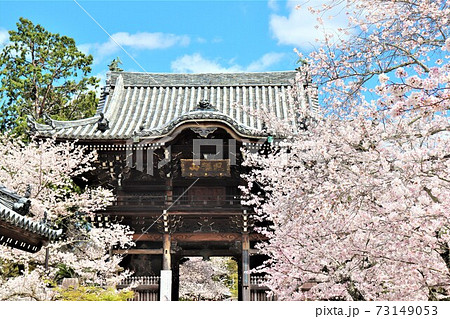 粉河寺　春の風景 73149053