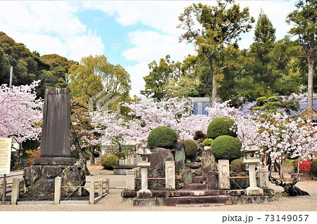 粉河寺 春の風景 粉河寺 春の風景 73149057