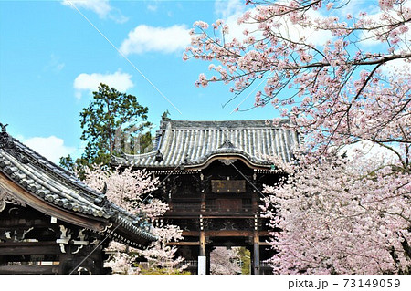 粉河寺　春の風景 73149059