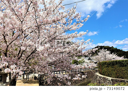 粉河寺　春の風景 73149072