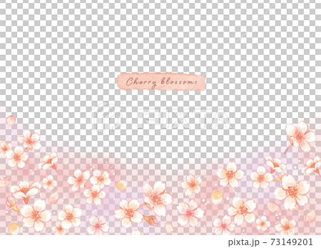 Watercolor cherry blossom frame illustration set Watercolor cherry blossom frame illustration set 73149201