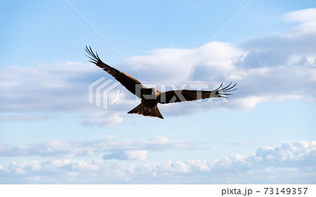 空を飛ぶハンター 73149357