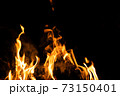Fire flames on a black background. Abstract fiery texture. Realistic fire flames burn movement frame. Texture for Design. The texture of fire. Fire flames background. Blazing campfire. Sensitive 73150401