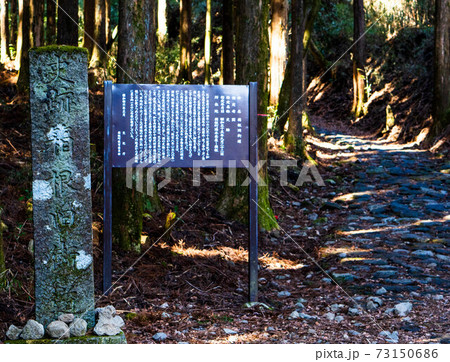 箱根旧街道 73150686