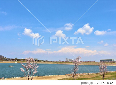 大阪狭山市　狭山池春の風景 73151632