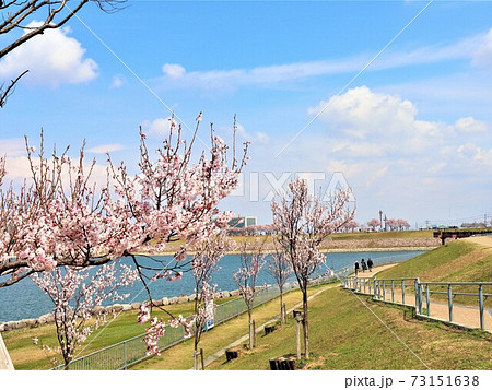 大阪狭山市　狭山池春の風景 73151638