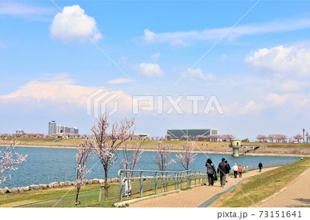 大阪狭山市　狭山池春の風景 73151641