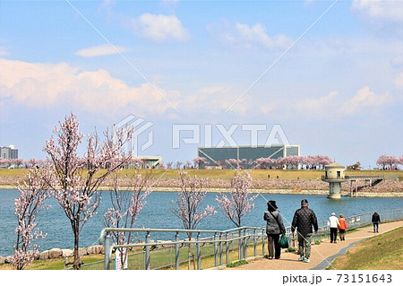 大阪狭山市 狭山池春の風景 大阪狭山市 狭山池春の風景 73151643