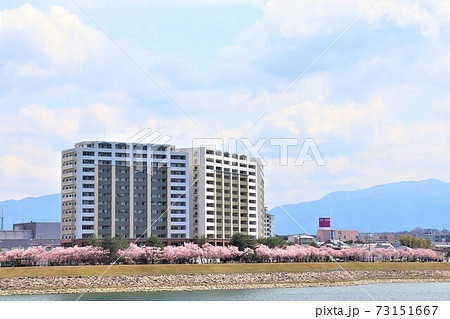 大阪狭山市 狭山池春の風景 大阪狭山市 狭山池春の風景 73151667