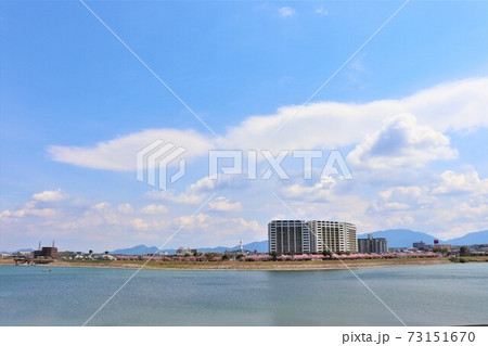 大阪狭山市　狭山池春の風景 73151670