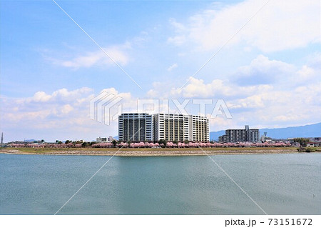 大阪狭山市　狭山池春の風景 73151672