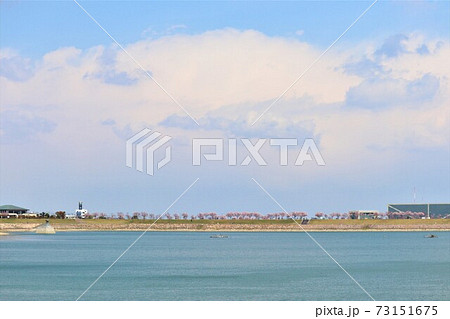 大阪狭山市　狭山池春の風景 73151675