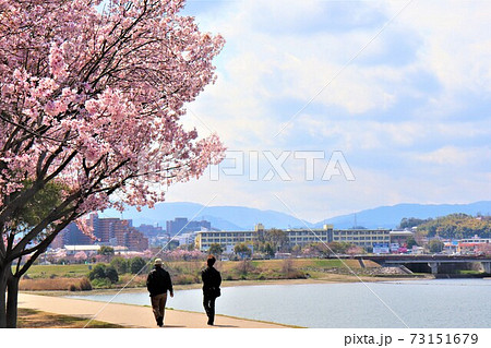 大阪狭山市 狭山池春の風景 大阪狭山市 狭山池春の風景 73151679