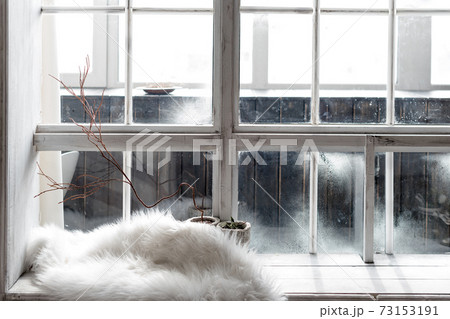 Cozy winter still life. Plants in pots and warm fur on vintage windowsill. Winter season, spending winter time at cozy home concept 73153191