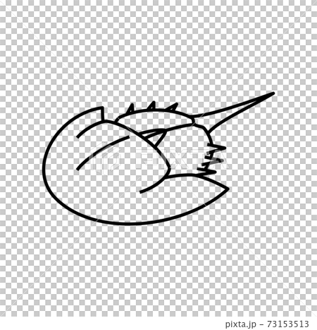 カブトガニのイラスト素材