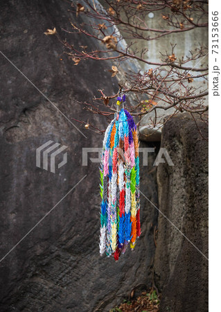 吊るされた千羽鶴 吊るされた千羽鶴 73153666