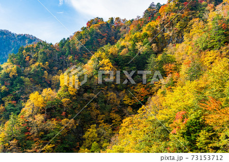 (山梨県)丸山林道の紅葉 (山梨県)丸山林道の紅葉 73153712