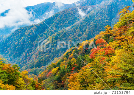山梨県 丸山林道の紅葉の写真素材
