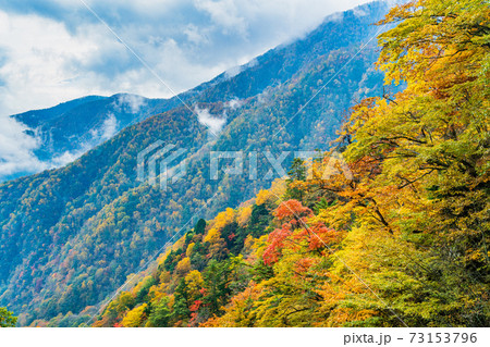 （山梨県）丸山林道の紅葉 73153796