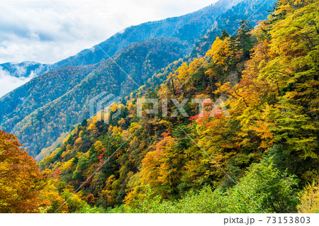 山梨県 丸山林道の紅葉の写真素材