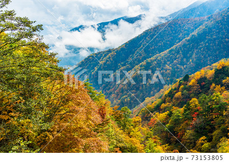 山梨県 丸山林道の紅葉の写真素材
