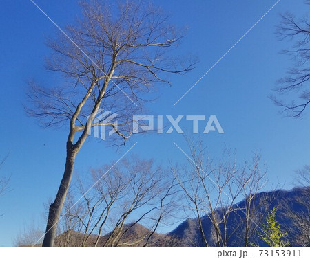 八ッ場ダム 冬 八ッ場ダム 冬 73153911