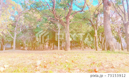 秋の風景 秋の風景 73153912