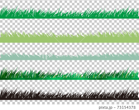 Lawn grass meadow variation set 73154378
