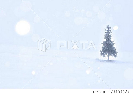 雪原にの丘に佇むクリスマスツリーの木 73154527